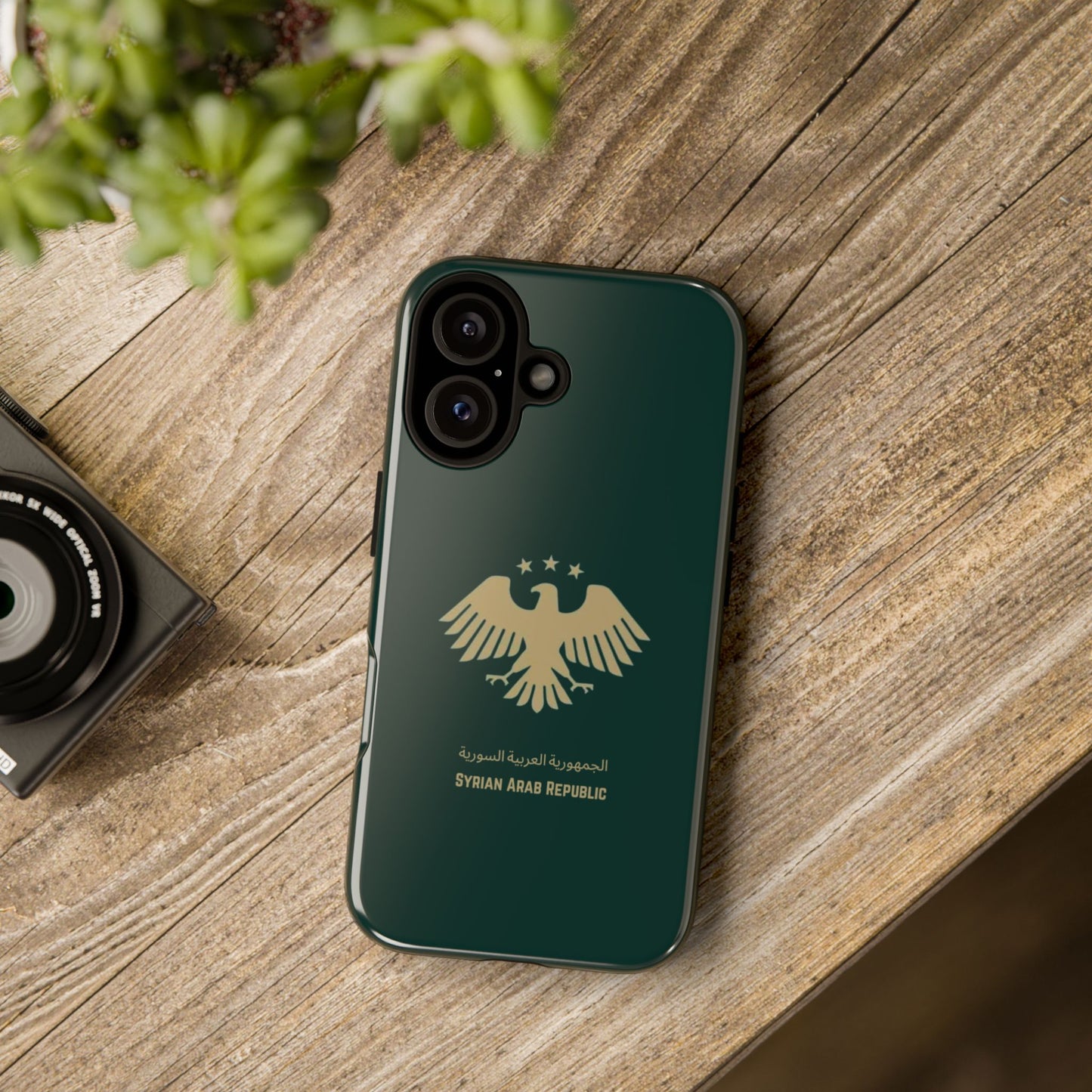 A Syrian Case