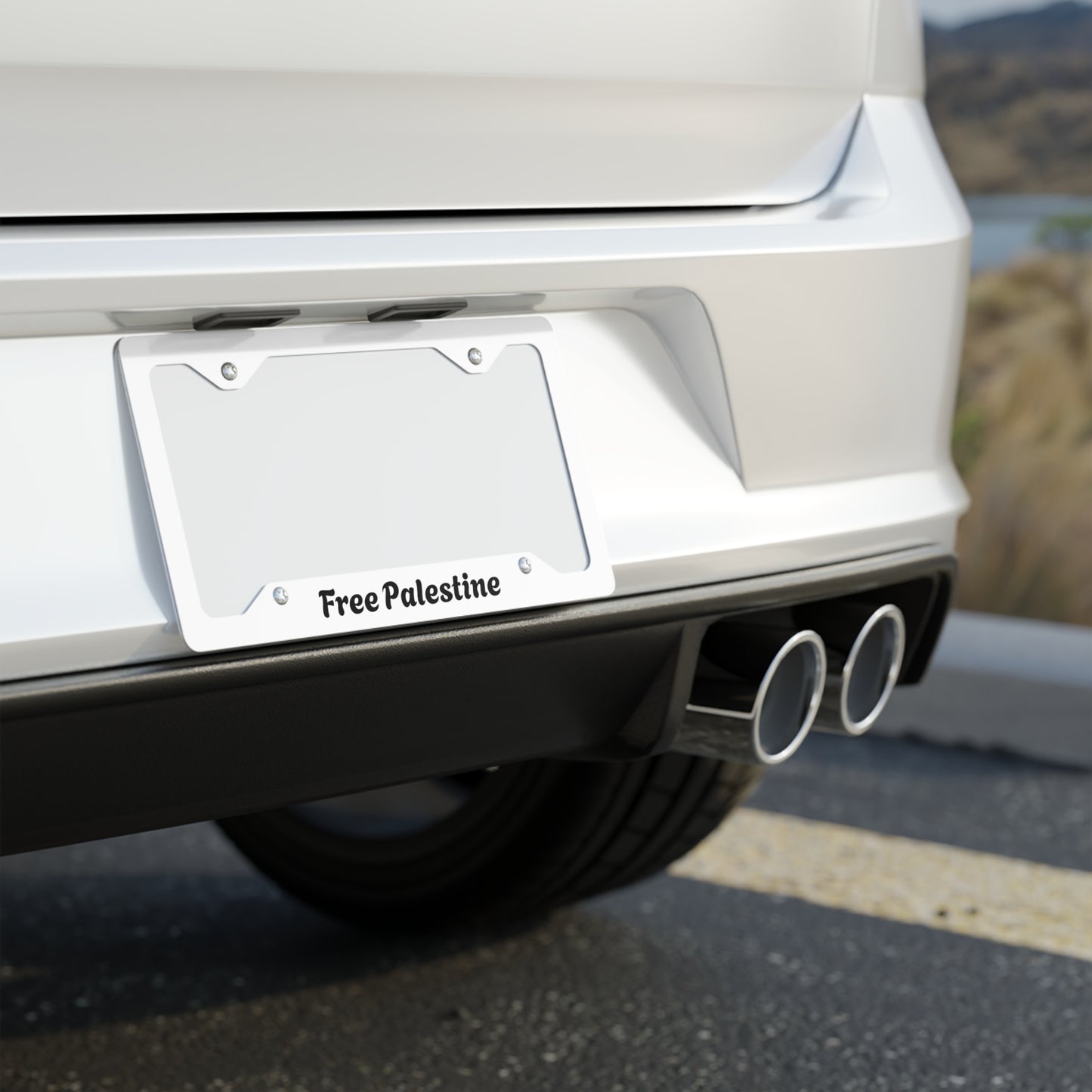 Car Plate Custom